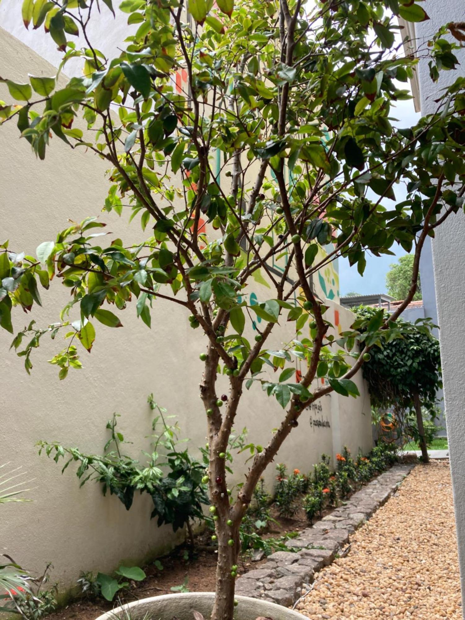 Vilazinha Estalagem Vila Velha (Espirito Santo)